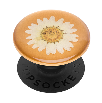 Pressed Flower White Daisy 白雛菊壓花 <可替換泡泡帽>, PopSockets