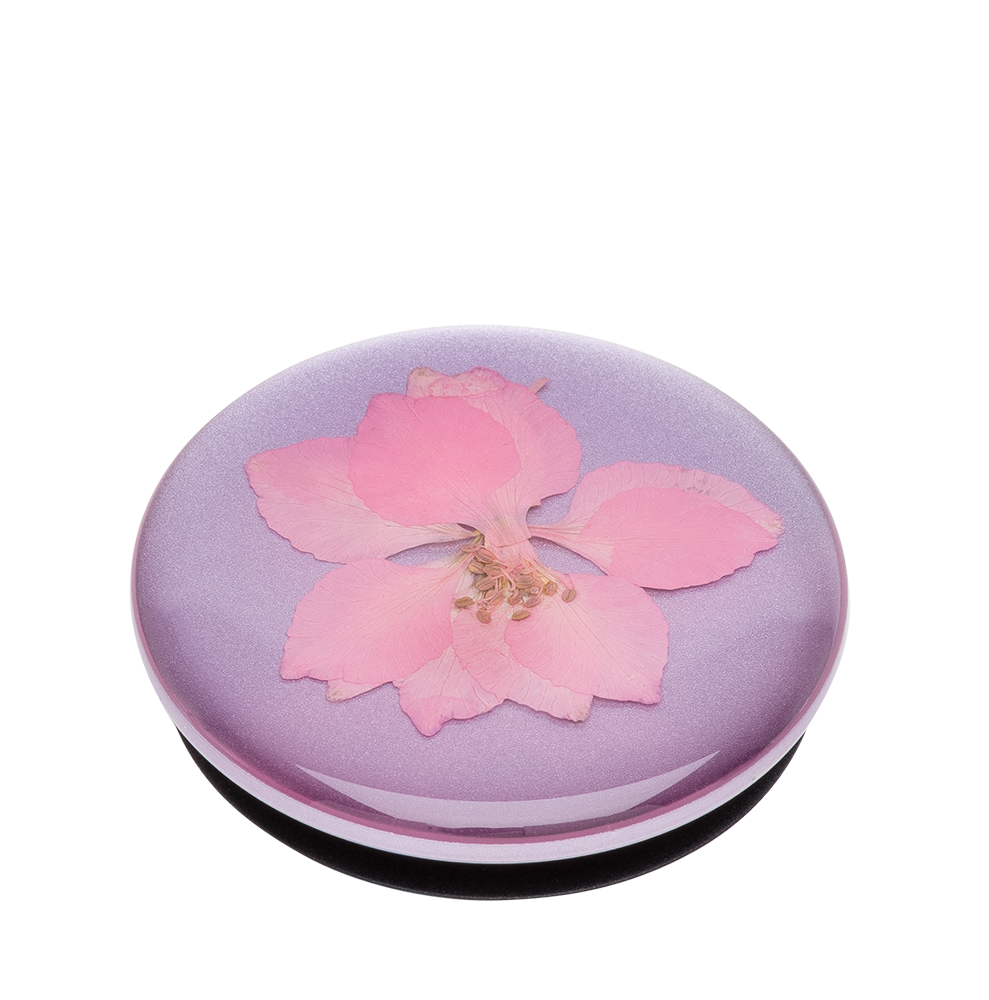 Pressed Flower Delphinium Pink 粉翠雀壓花 <可替換泡泡帽>, PopSockets
